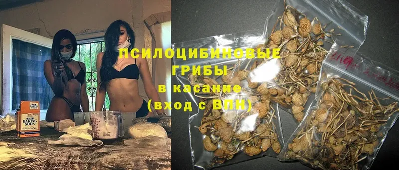 Псилоцибиновые грибы Magic Shrooms  Багратионовск 